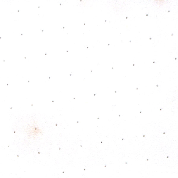 8040