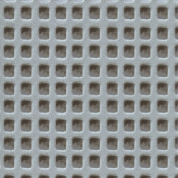 8081