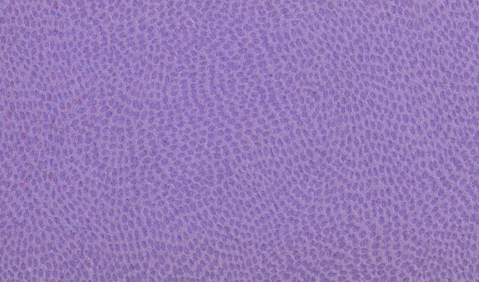 202