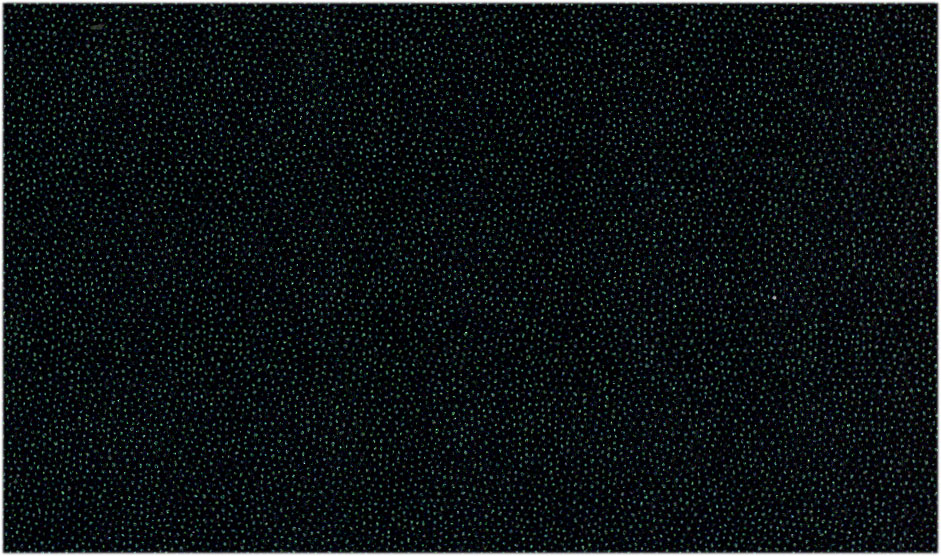 255 - 4