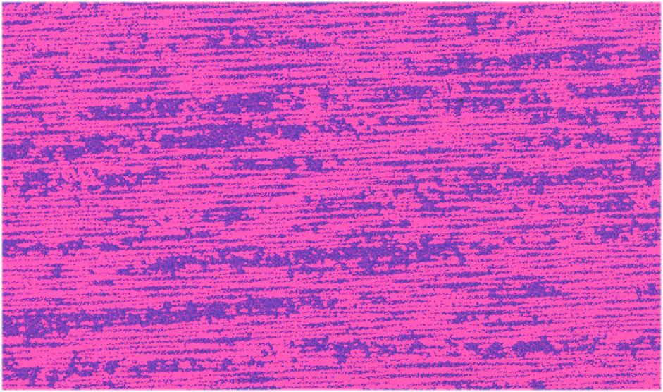 269E7447 - 2
